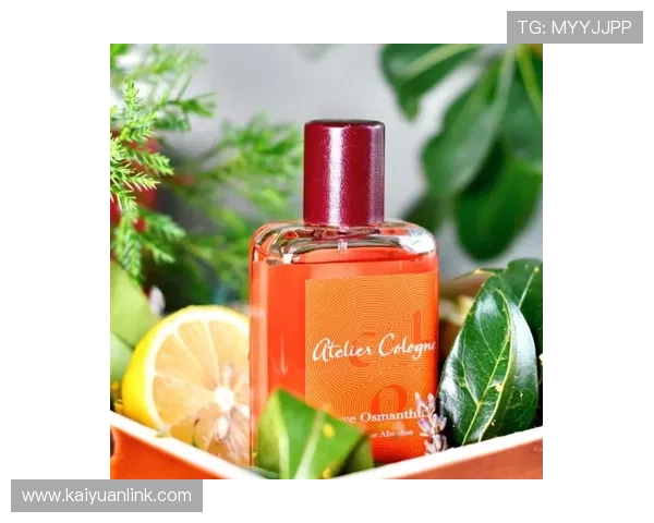 优发国际高额返水优惠，助力玩家提升盈利空间实现梦想